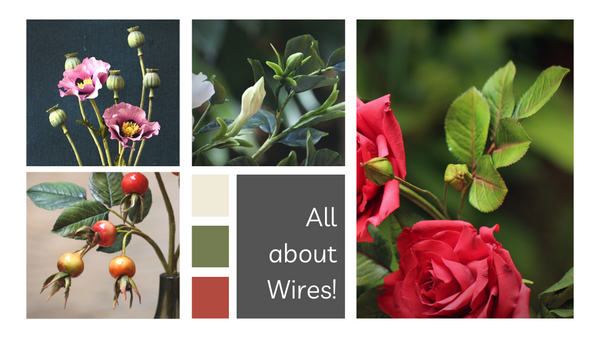 All about Wires!
