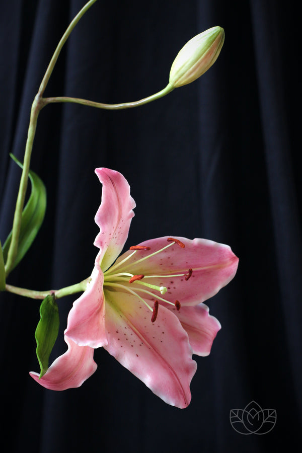 Oriental Lily