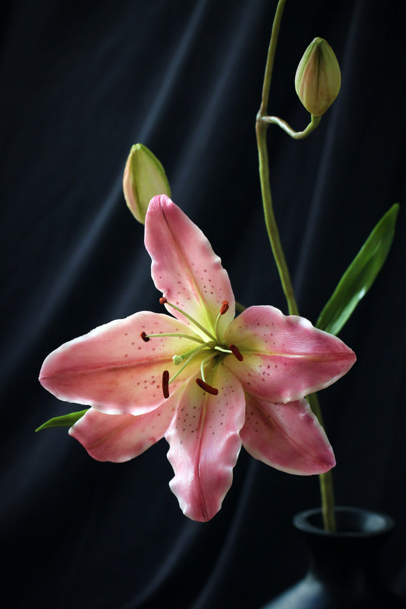 Oriental Lily