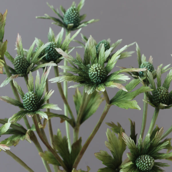Eryngium Masterclass