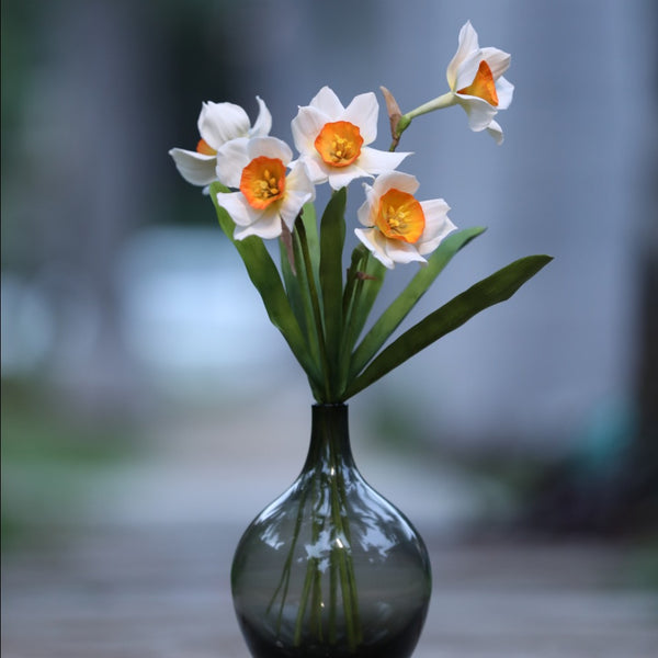 Daffodil