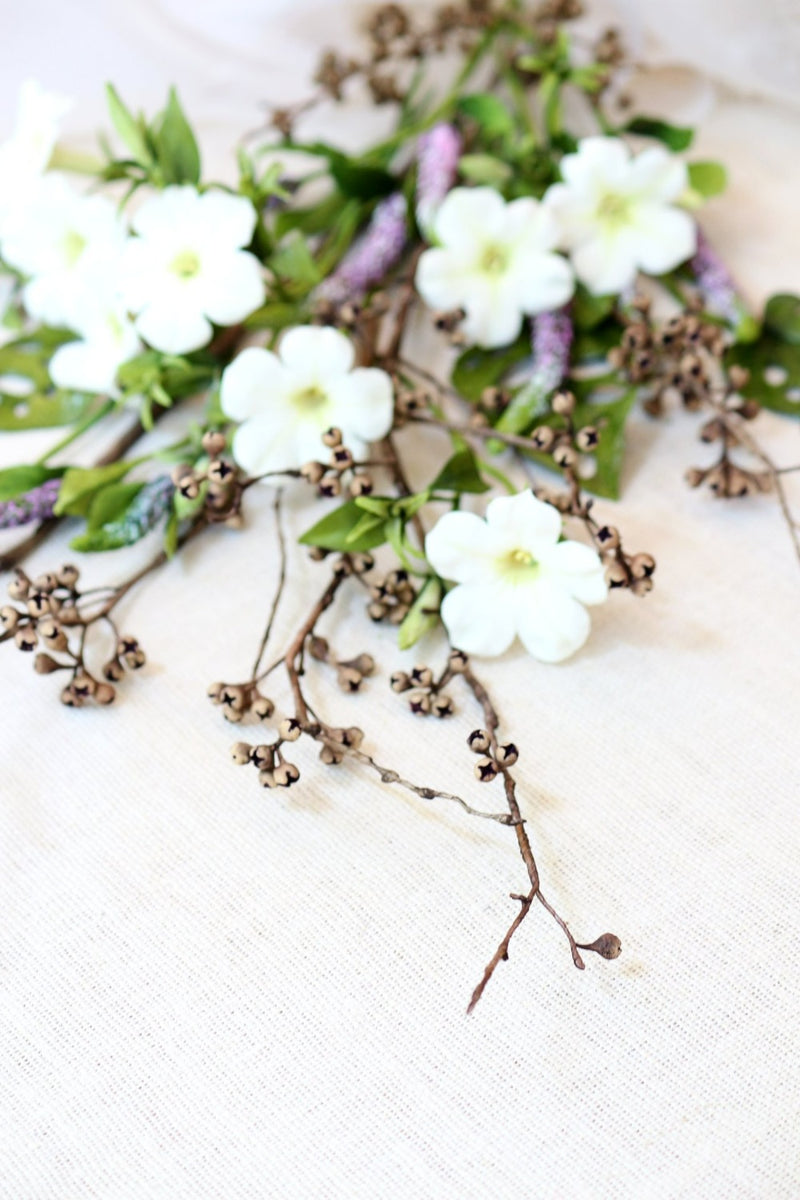 Dried Eucalyptus seeds