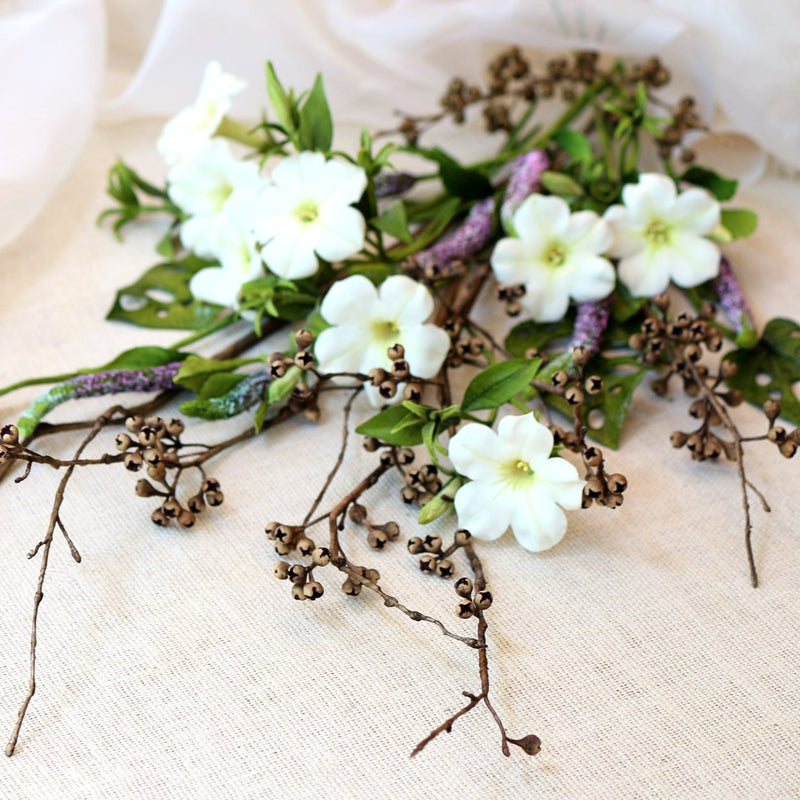 Dried Eucalyptus seeds