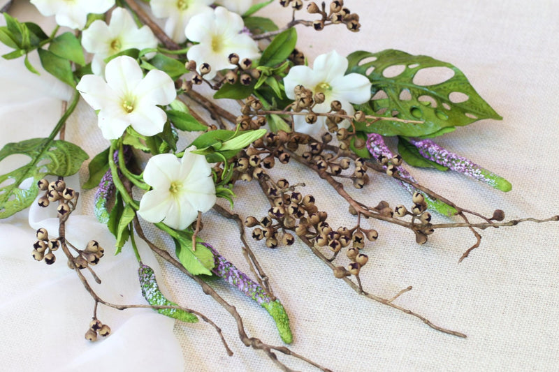 Dried Eucalyptus seeds