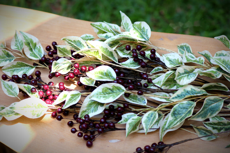 Ficus leaves and Berries