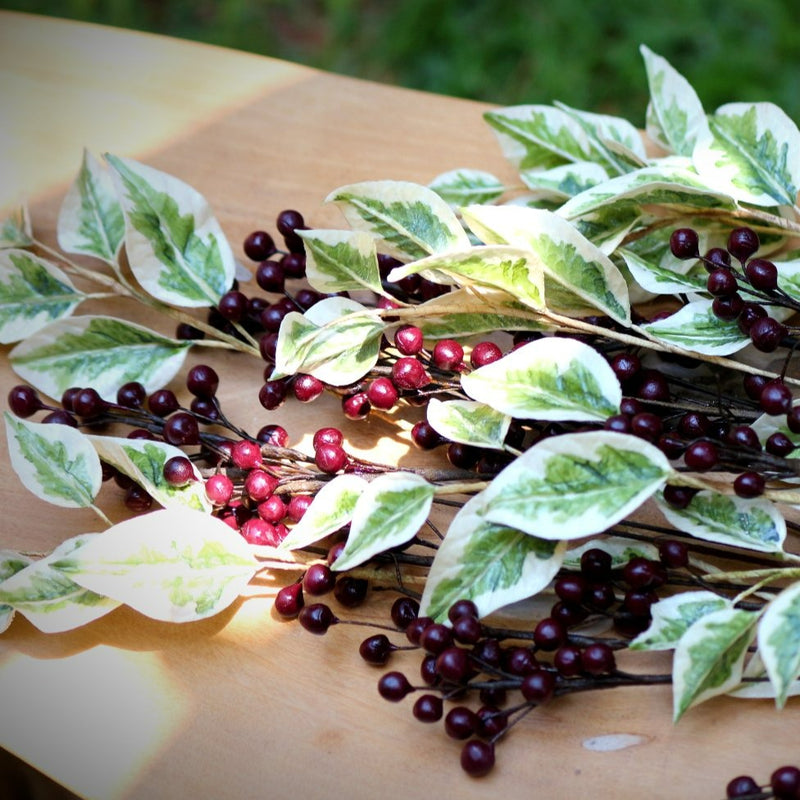 Ficus leaves and Berries
