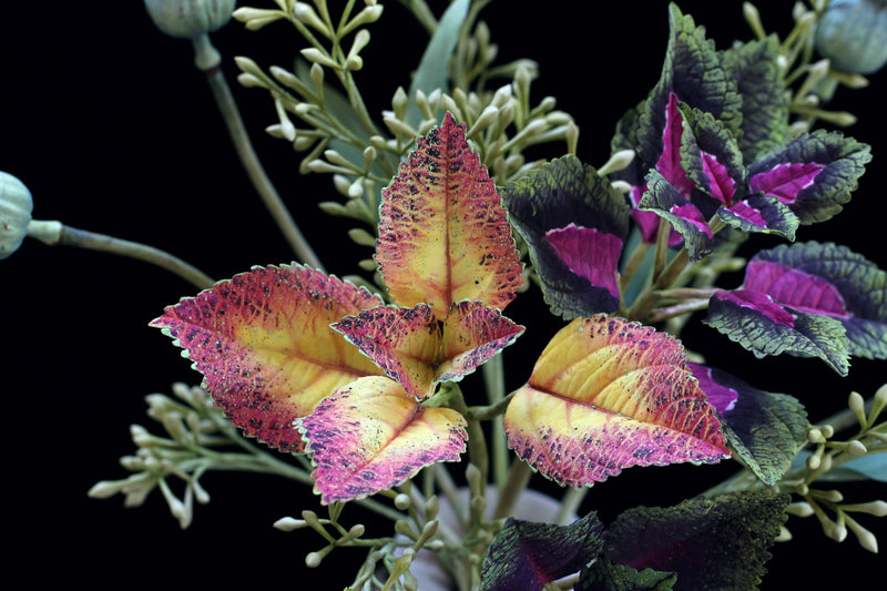 Foliage