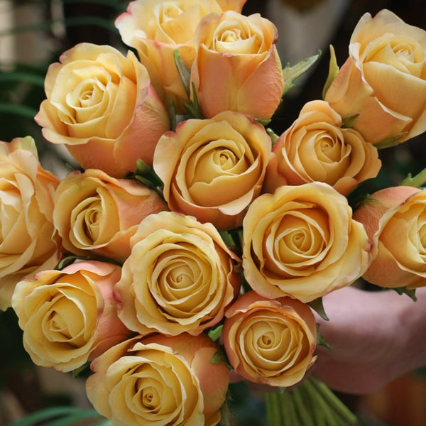 Yellow/ Peach Roses