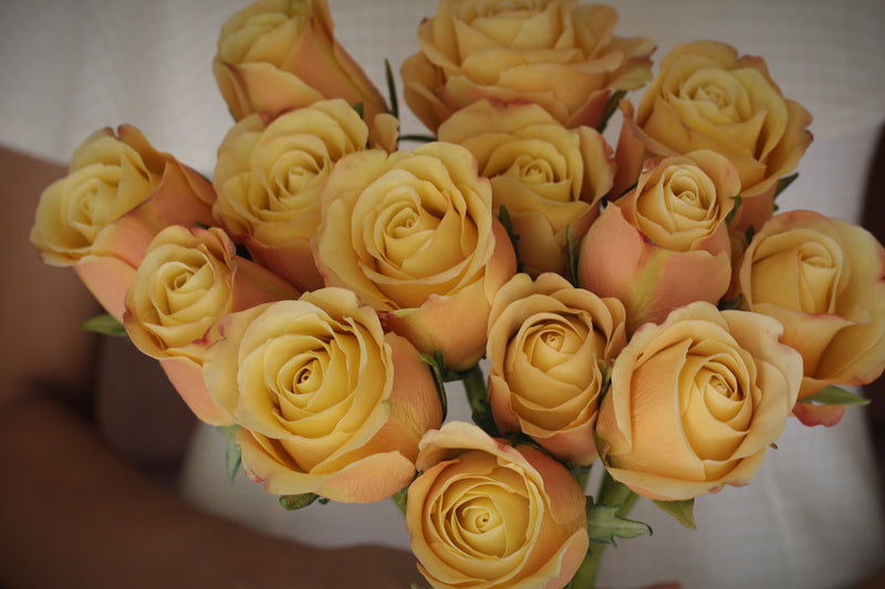 Yellow/ Peach Roses