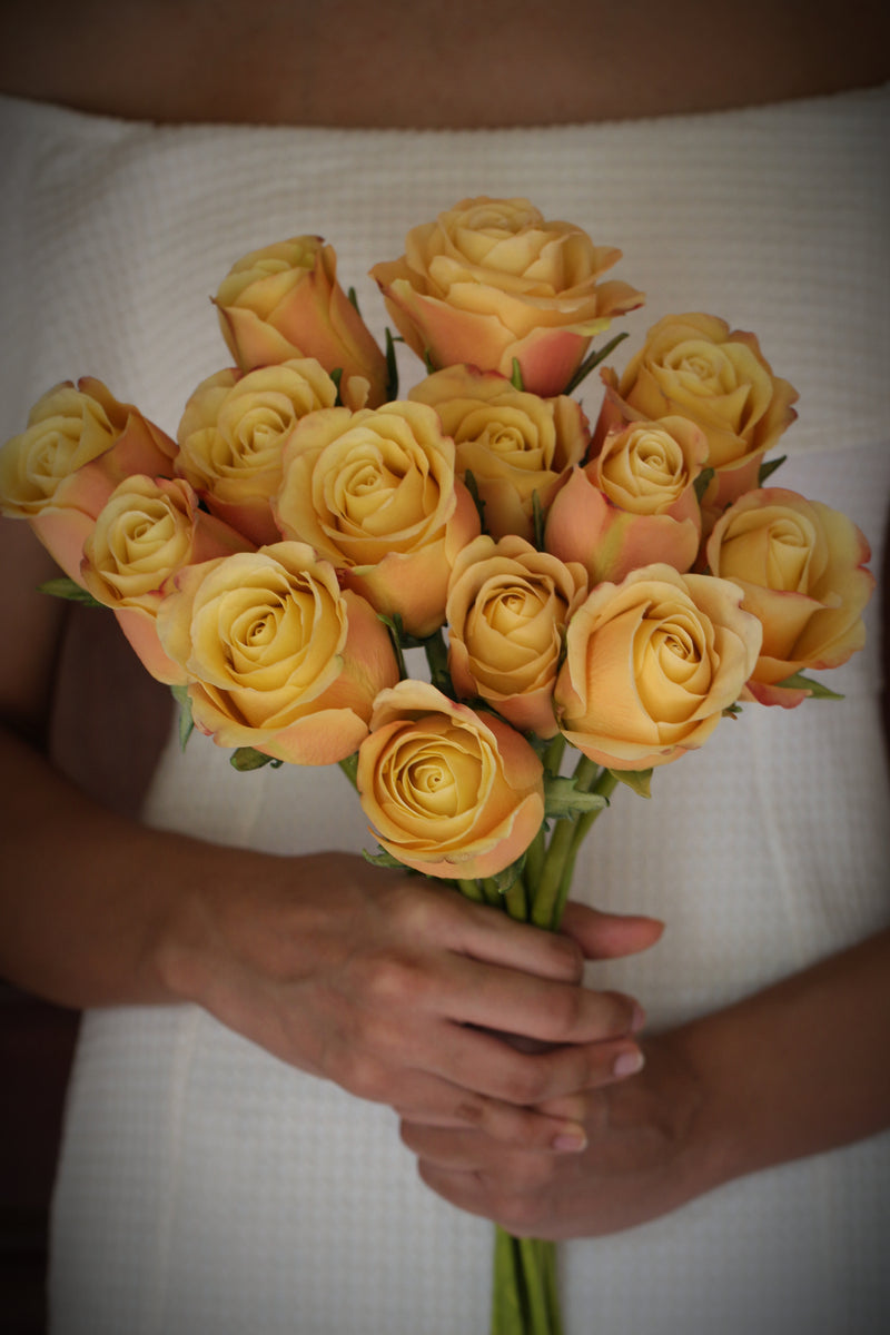 Yellow/ Peach Roses