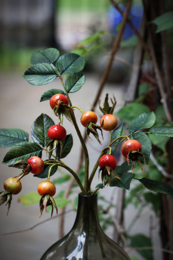 Rose Hips