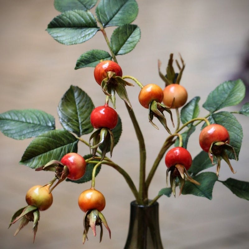 Rose Hips Masterclass