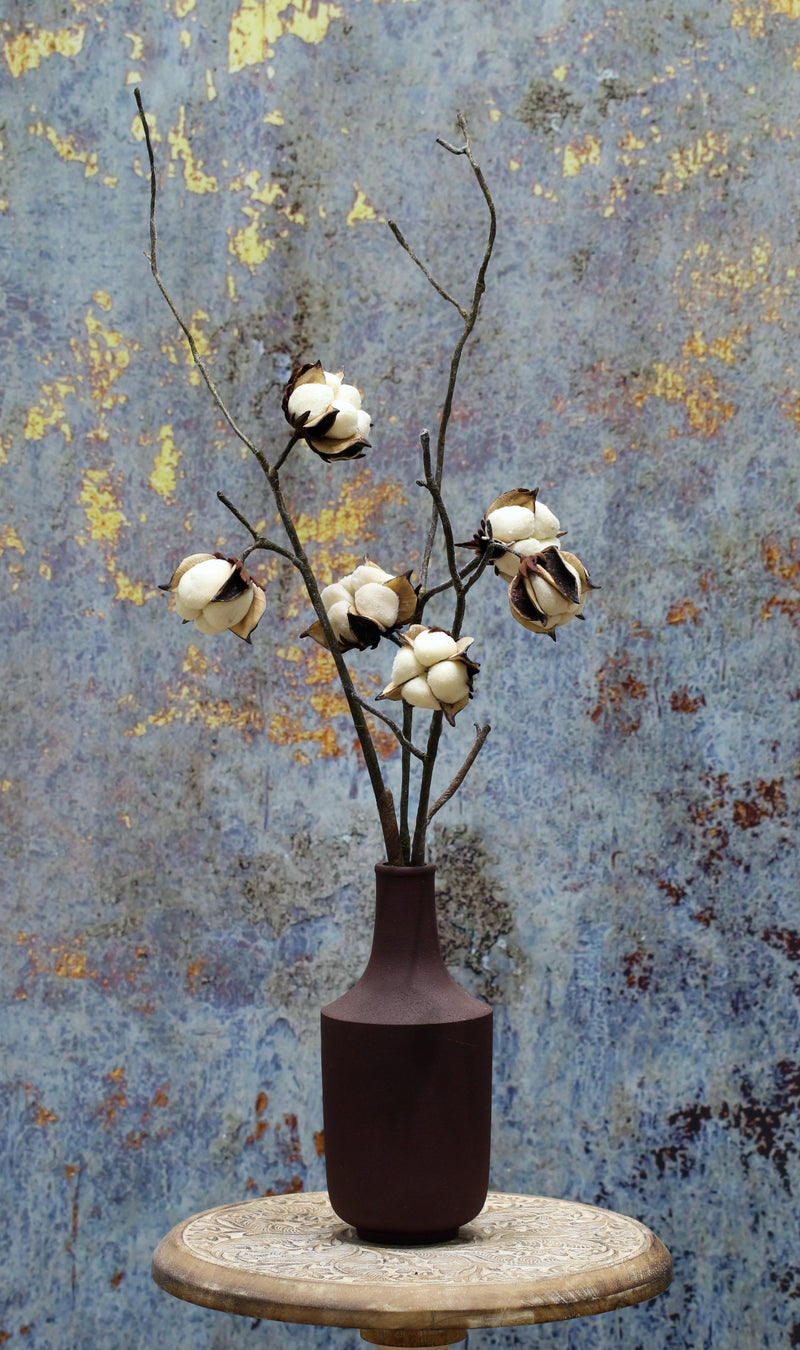 Cotton Flower Stems