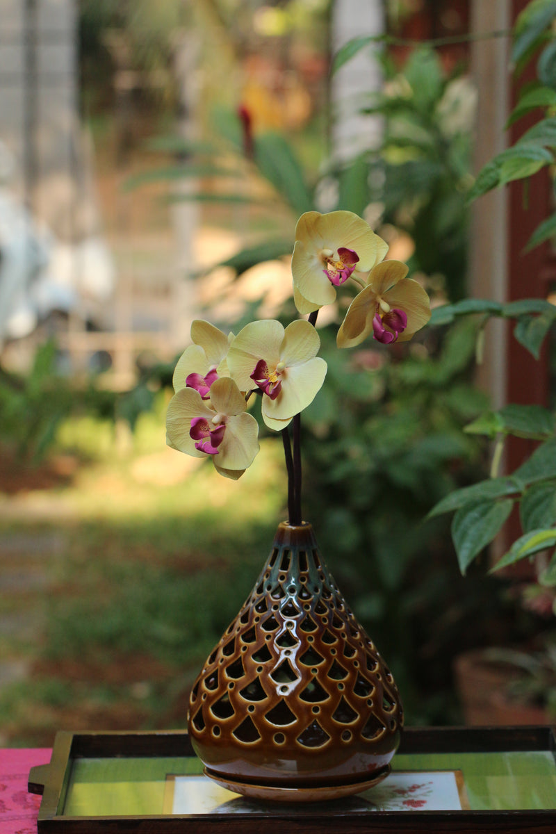 Phalaenopsis/ Moth orchid