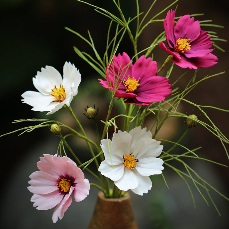 Pink Cosmos Masterclass