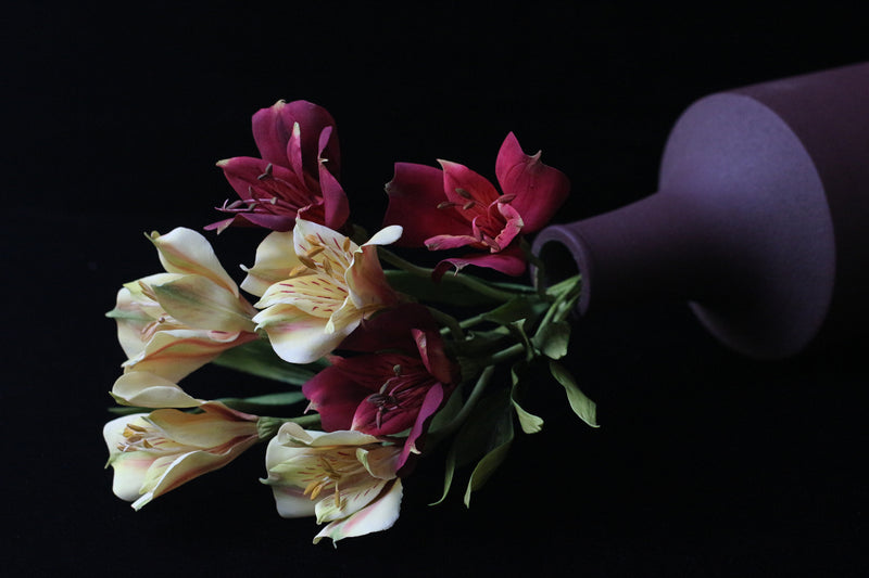 Alstromeria