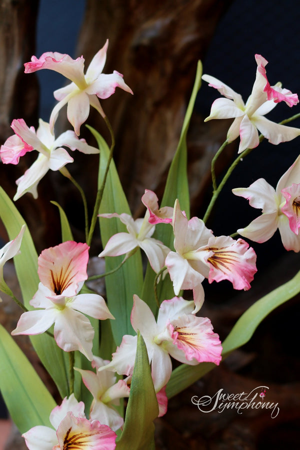 Quick Orchids