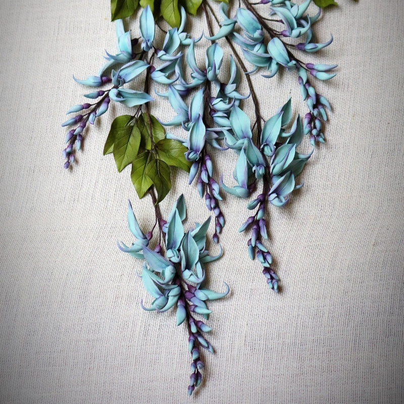 Jade Vine