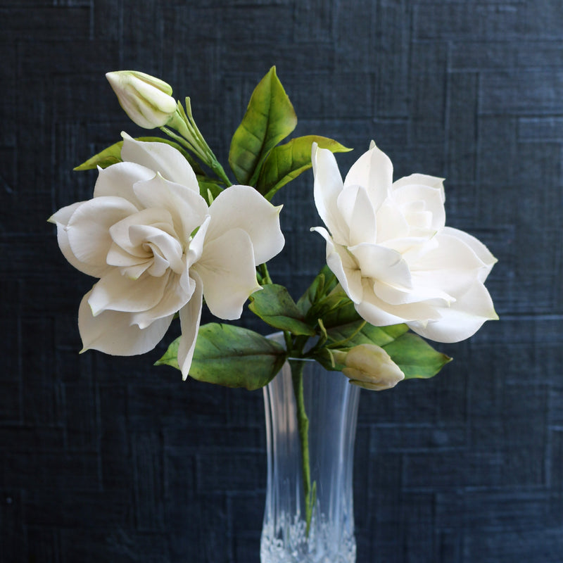 Gardenia